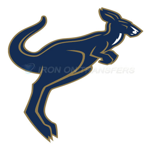 Akron Zips Logo T-shirts Iron On Transfers N3697